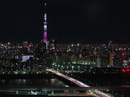 スカイツリーの夜景です